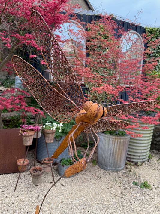 Large Dragonfly Sculpture