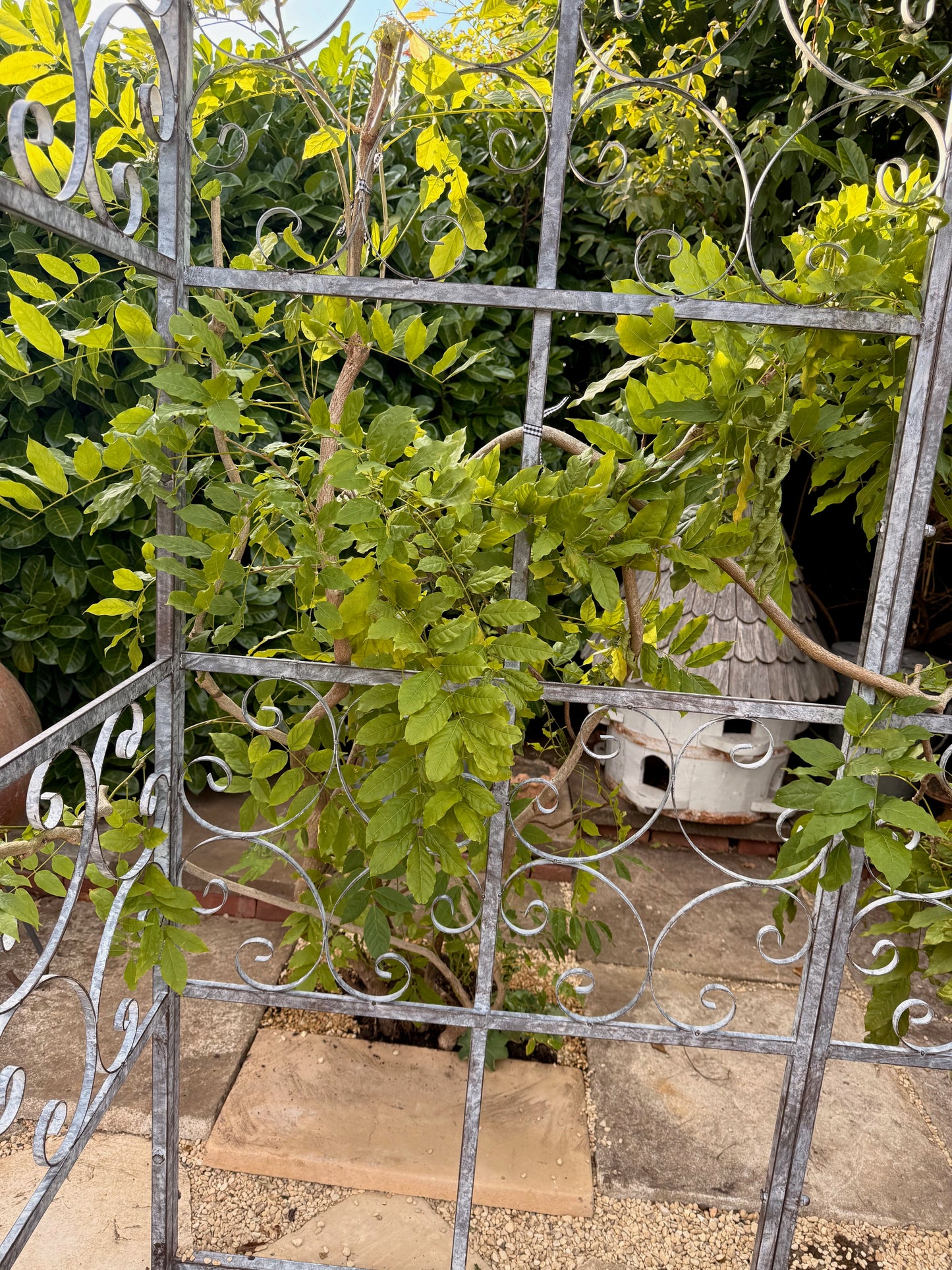Greenhouse Growing Frame