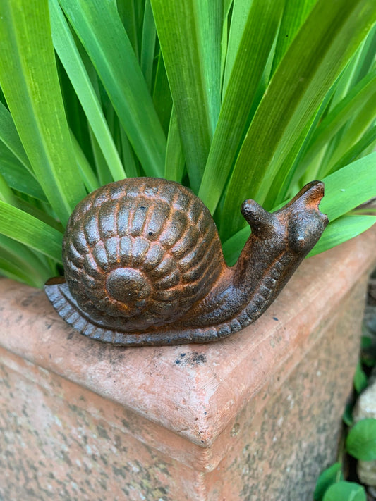 Small Cast Iron Snail