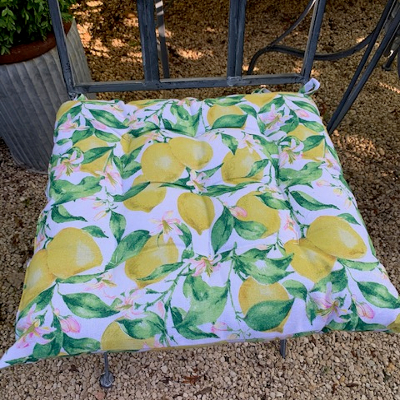 Lemons Seat Pad
