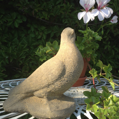 Cotswold Stone Dove