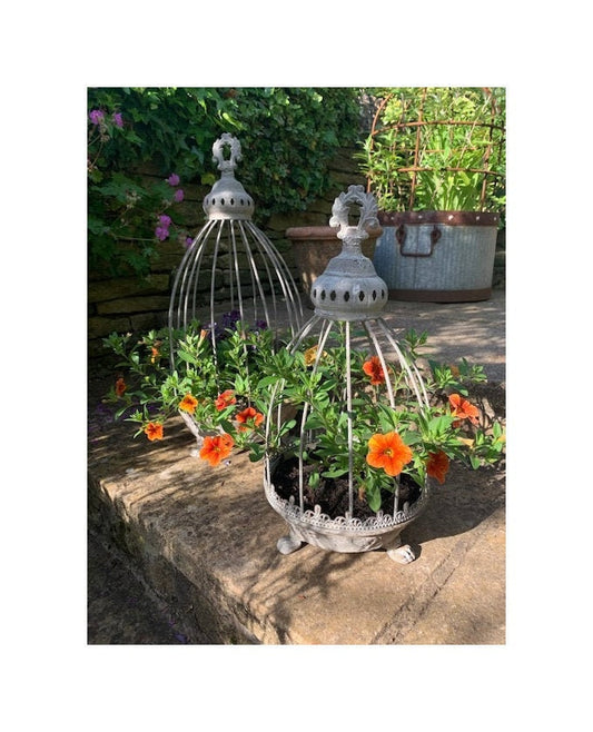 Vintage Caged Dish Planter on Feet