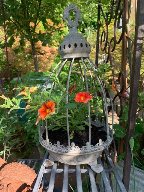 Vintage Caged Dish Planter on Feet