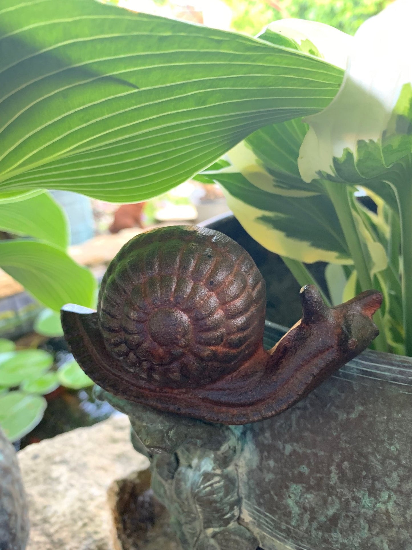Small Cast Iron Snail