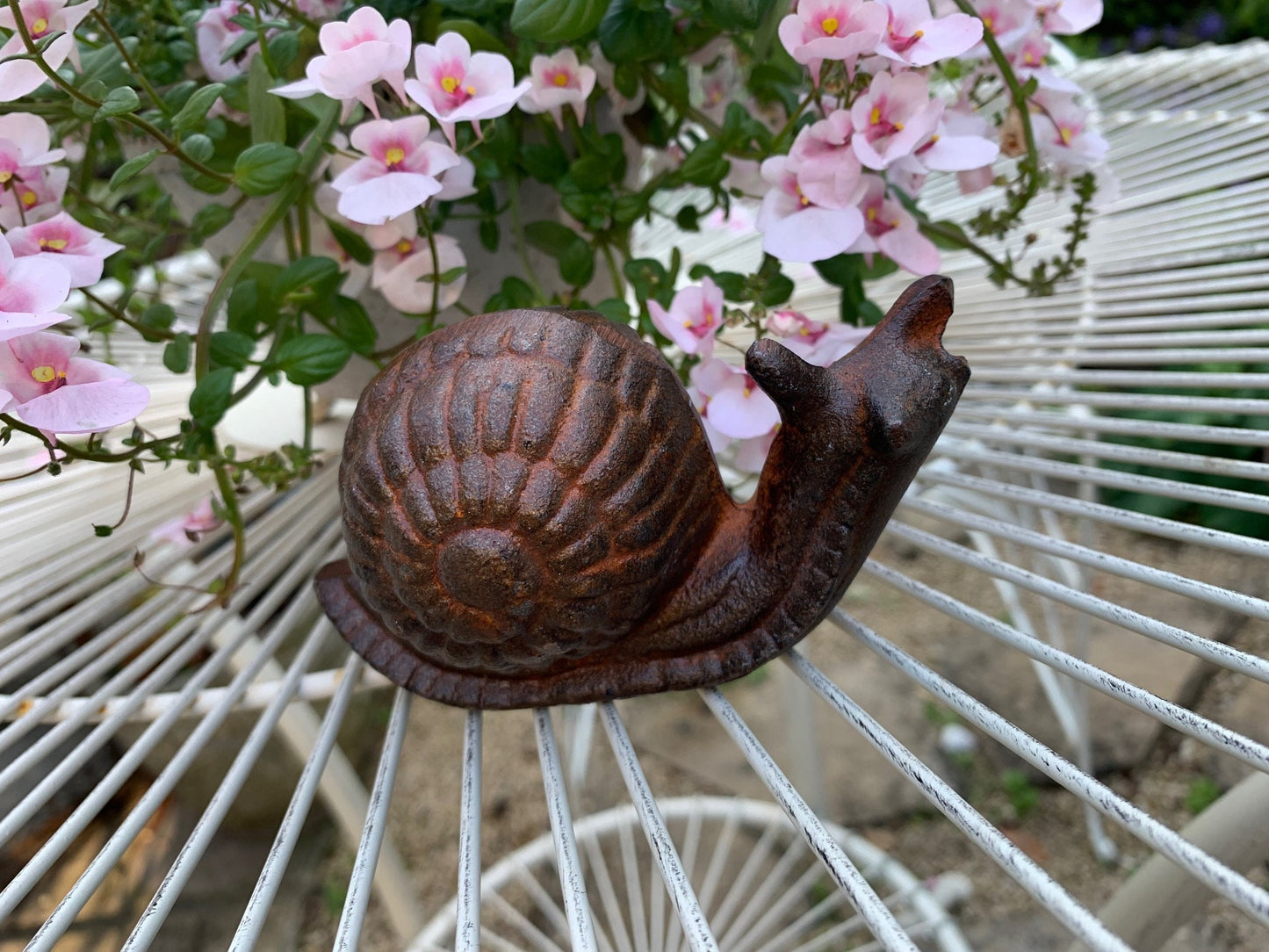 Small Cast Iron Snail